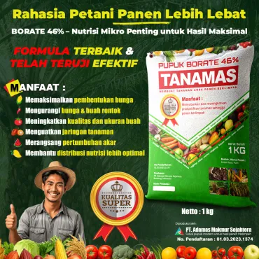Pupuk Borate / Boron 46% Tanamas